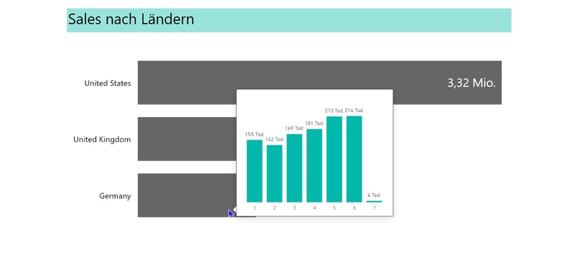 Abb 2 Berichtsseiten