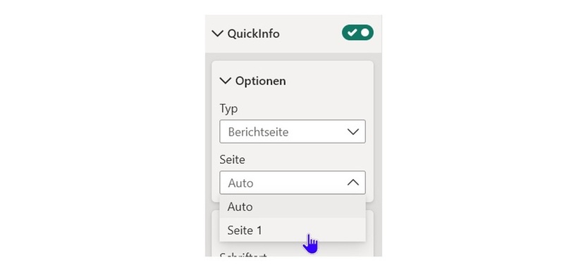 Abb 4 Berichtsseiten