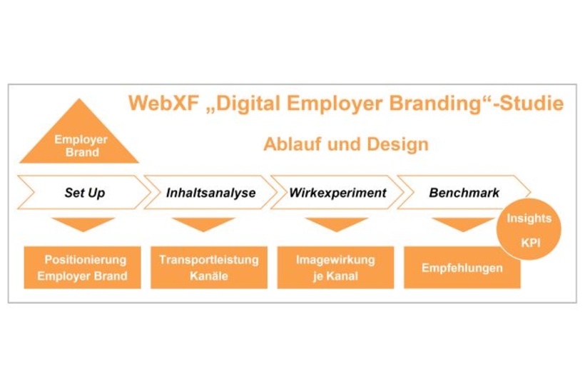 Ablauf der Studie zum Digital Employer Branding