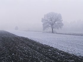 Ackerlandschaft mit Raureif