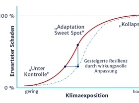 Adaptation Sweet Spot