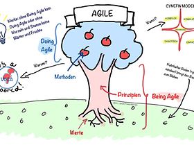 Agile im Bild