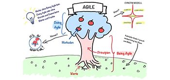 Agile im Bild