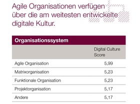 Agile Organisation und digitale Unternehmenskultur