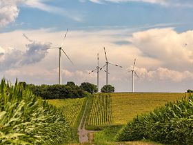 Agtech als Zukunftsbranche