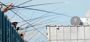 Personalbedarf in Unternehmen steigt und steigt 