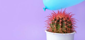 Arbeitsschutz_Kaktus und Luftballon