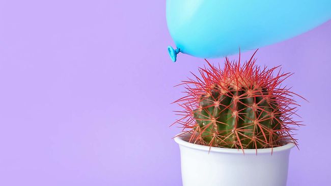 Arbeitsschutz_Kaktus und Luftballon