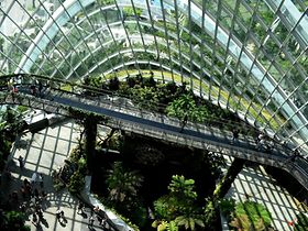 Architektur Glashaus Natur