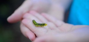 Standards in der Textilbranche analysiert