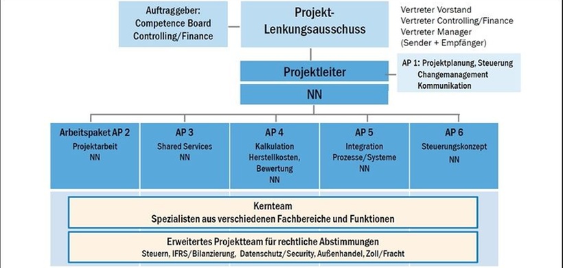 Aufbaustruktur der RICS- Projektorganisation