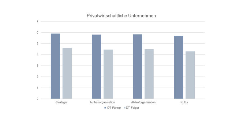 Ausprägungen Erfolgsfaktoren Privatwirtschaftliche Unternehmen
