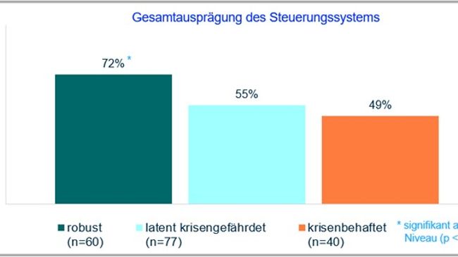 Ausprägungsgrad des Steuerungssystems nach Unternehmenskategorie