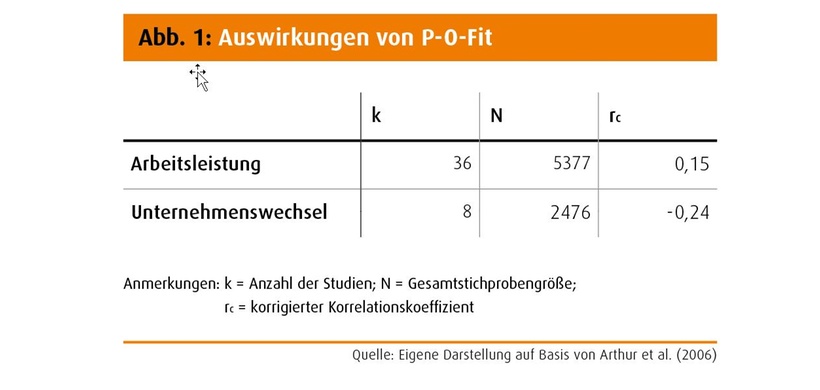 Auswirkungen von P-O-Fit