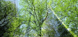 PCAF-Standard Dekarbonisierung