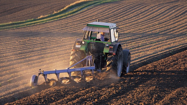 Freibetrag für weichende Erben