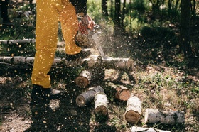 Baumfällen Holzfäller 