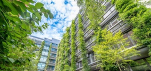 Klimawandel: Begrünungspflicht für neue Gebäude in Frankfurt