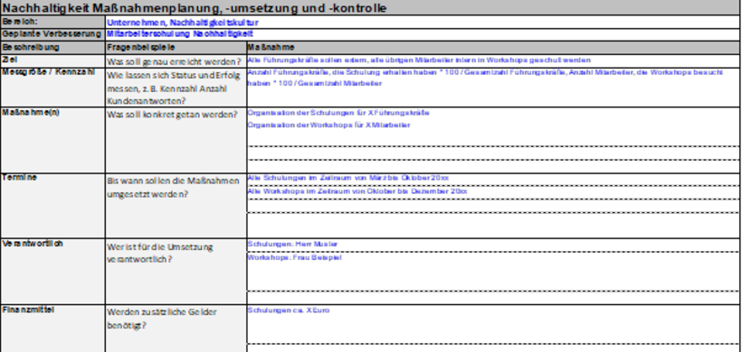 Beispiel einer Planung für Maßnahmenumsetzung