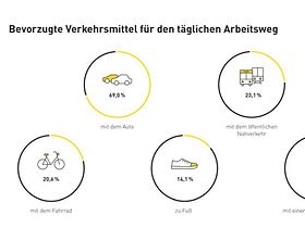 Bevorzugte Verkehrsmittel für den täglichen Arbeitsweg