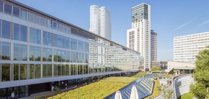 Berlin fördert "grüne Dächer" mit 2,7 Millionen Euro 