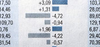Bilanzreports Ausschnitt
