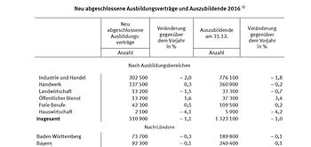 Bild Destatis Infografik