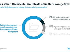 Bild Infografik Bitkom 2017