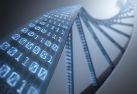 Binärzahlen die wie eine DNA-Matrix aussehen