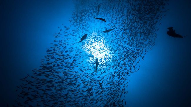 Darum gehört virtuelles Wasser in die Nachhaltigkeitsstrategie