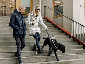 Blinde Frau mit Hund Treppe laufen