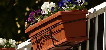 Blumenkasten Balkon