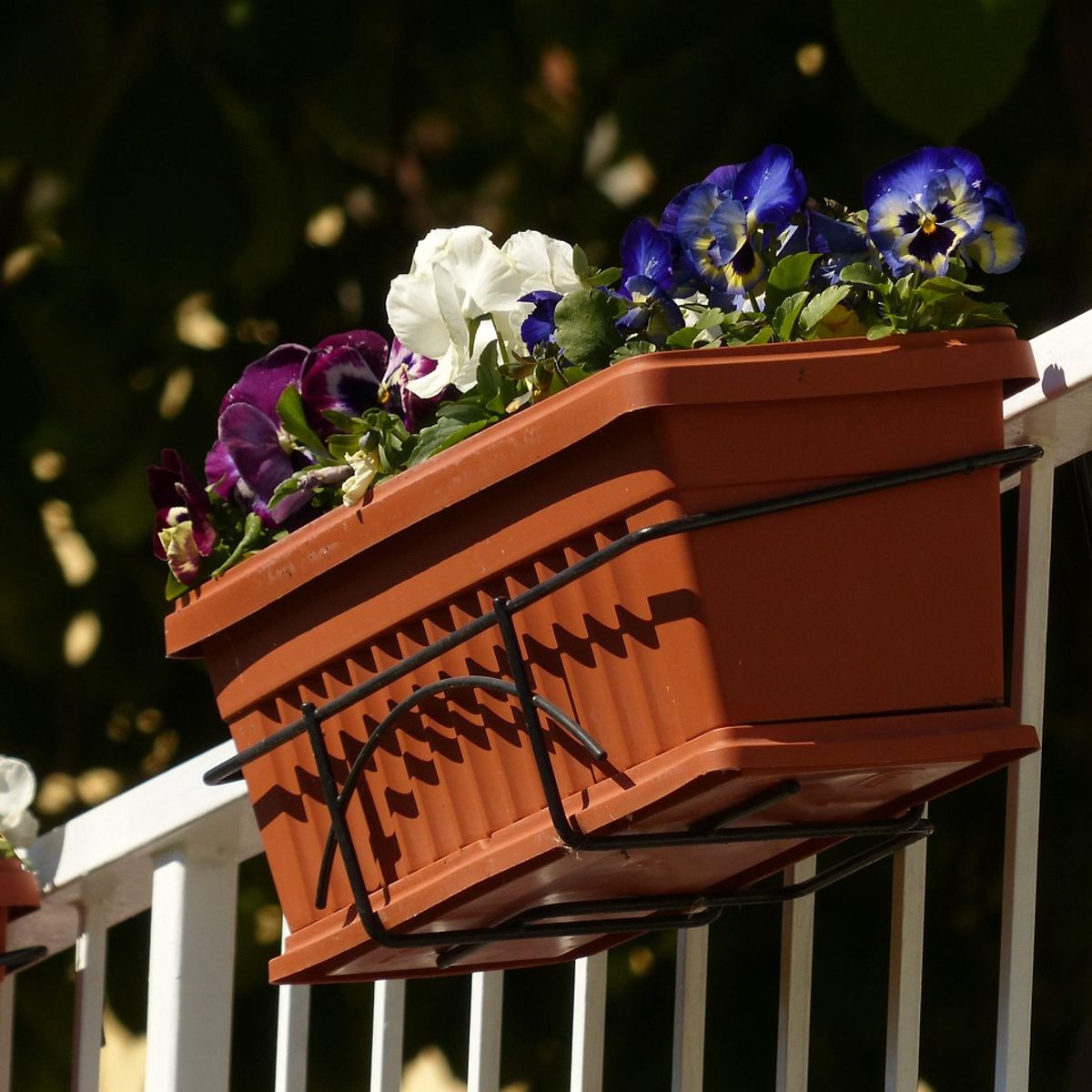 blumenstnder metall schwarz hoch Pflanzenregal Metall schwarz mit 6/7/8 Ebenen online kaufen