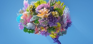 Corporate Influencing: Authentisch und informativ 