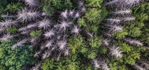 Koalitionsvertrag: fehlende Impulse für den Klimaschutz