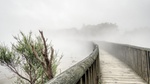 Brücke über Nebel