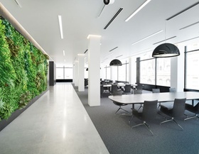 Büro grüne Wand modern weiß Großraum