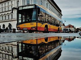 Bus