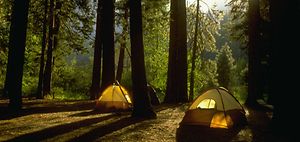 Camping in Yosemite Woods