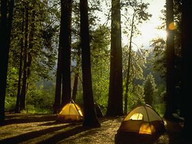 Camping in Yosemite Woods