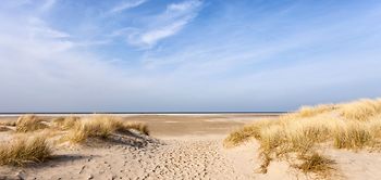 Strand Sand Meer Dünen dunes landscape Germany