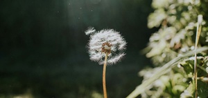 Burn Bright, Not Out: Verantwortung bewusst tragen