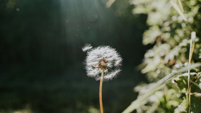 Verantwortung bewusst tragen, ohne sich zu überlasten