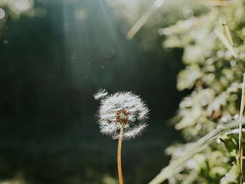 Changemaker_Ruhe_Natur_Regeneration