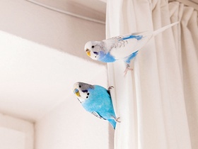  Christian O. Bruch/laif 