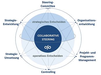 Collaborative Steering, Decision Partners