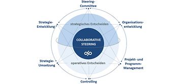 Collaborative Steering, Decision Partners