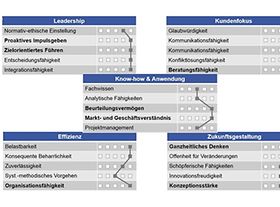 Controller-Kompetenzmodell