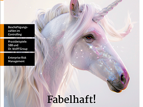 Controller Magazin 3/2026