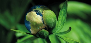IFRS-Rechnungslegung: Klimabezogene Aspekte als Fokusthema